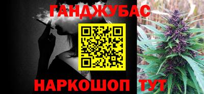 стаф Пенза