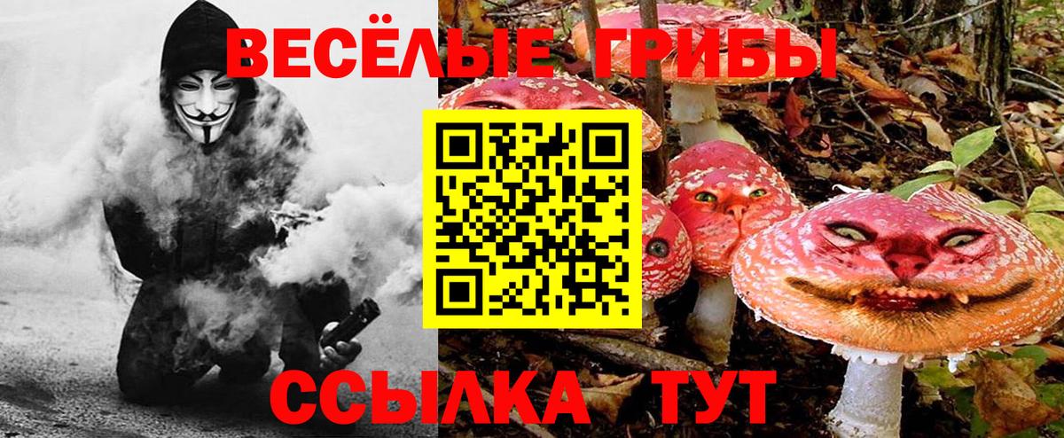 Галлюциногенные грибы мицелий Новосибирск