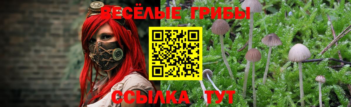 Псилоцибиновые грибы MAGIC MUSHROOMS  Вход с VPN  Новосибирск  Псилоцибиновые грибы мухоморы 